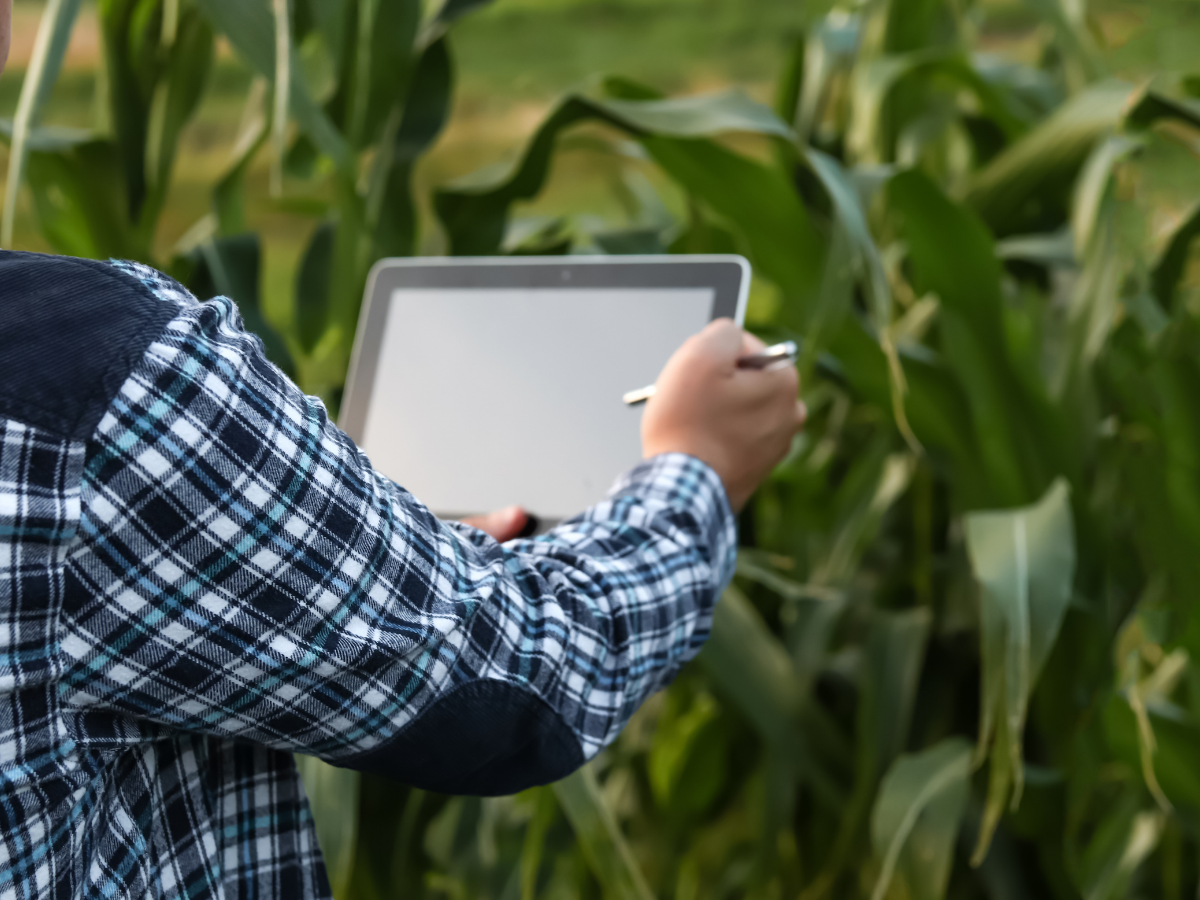 FieldFusion Developer | API for Connected Farm Workflows