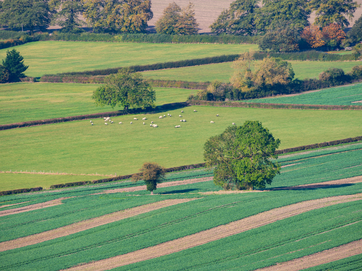FieldFusion Developer | API for Connected Farm Workflows