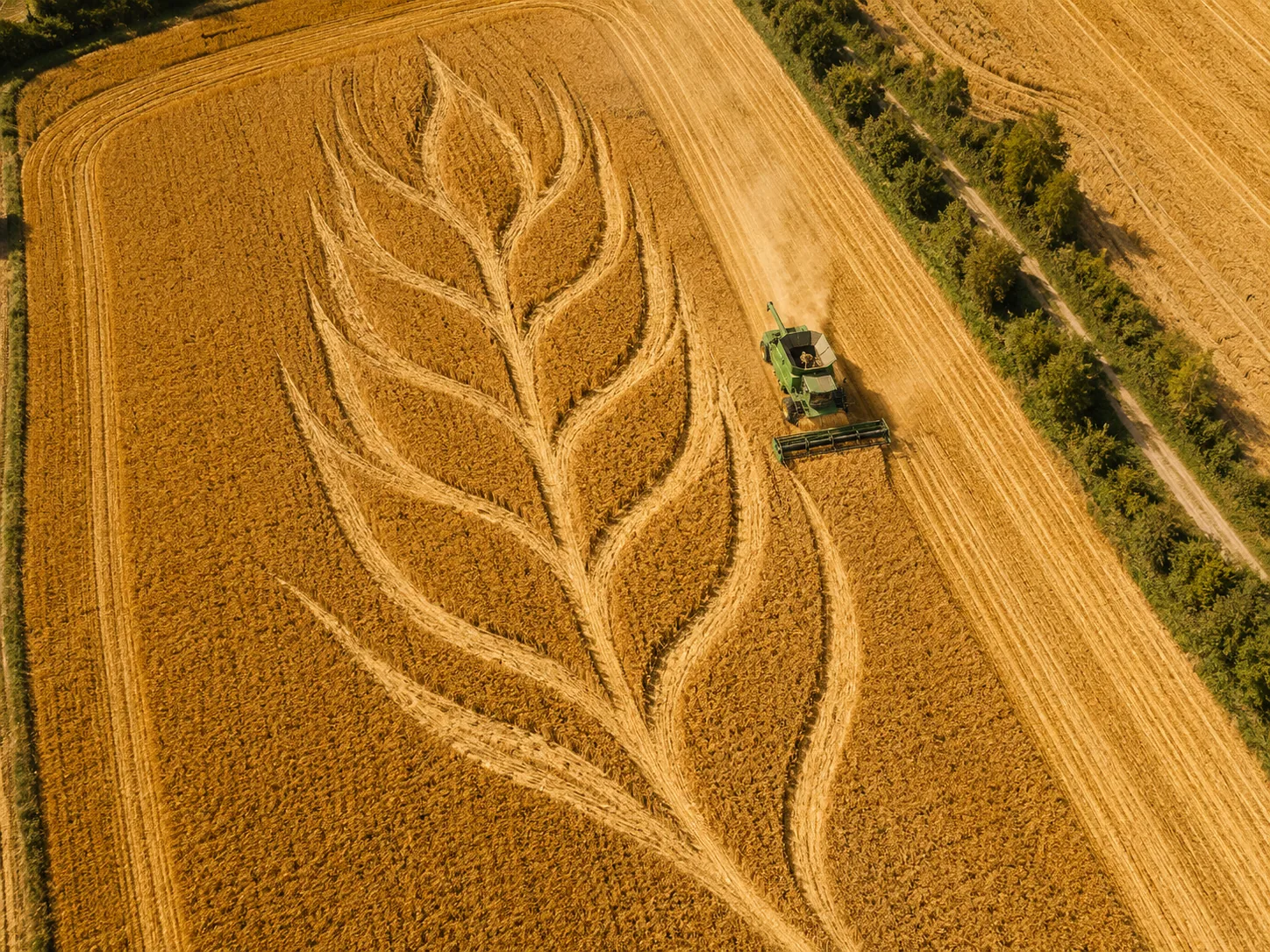 FieldArt common field art creation methods