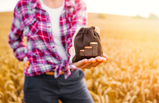 Subsidy and insurance reporting