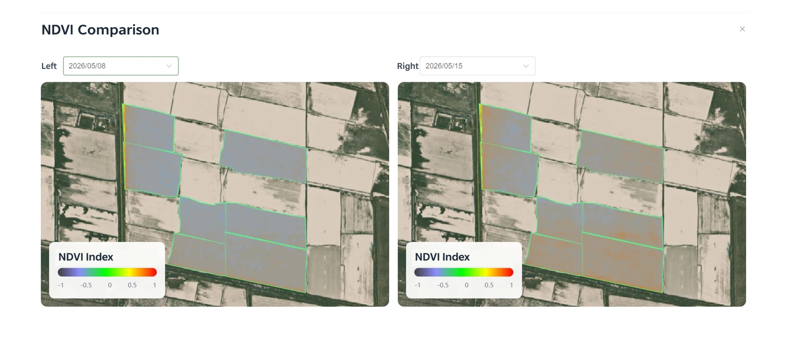 Cotton seedling NDVI comparison during May emergence
