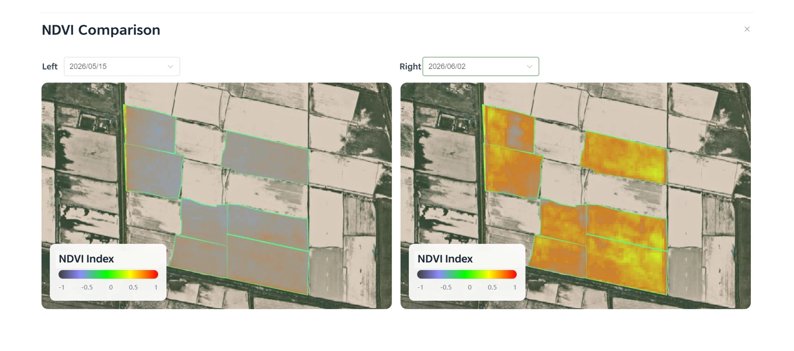 Cotton NDVI comparison as canopy cover expands in June