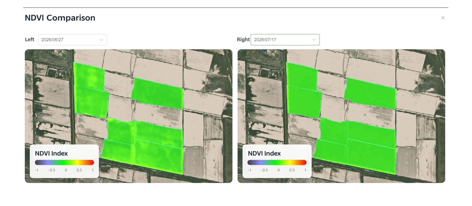 Side-by-side cotton NDVI maps during flowering and boll setting