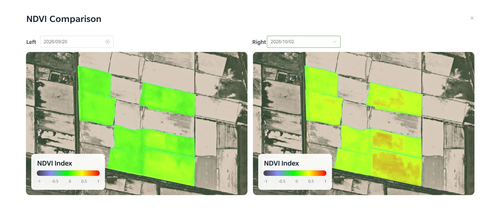 Late-season cotton NDVI comparison from September to October