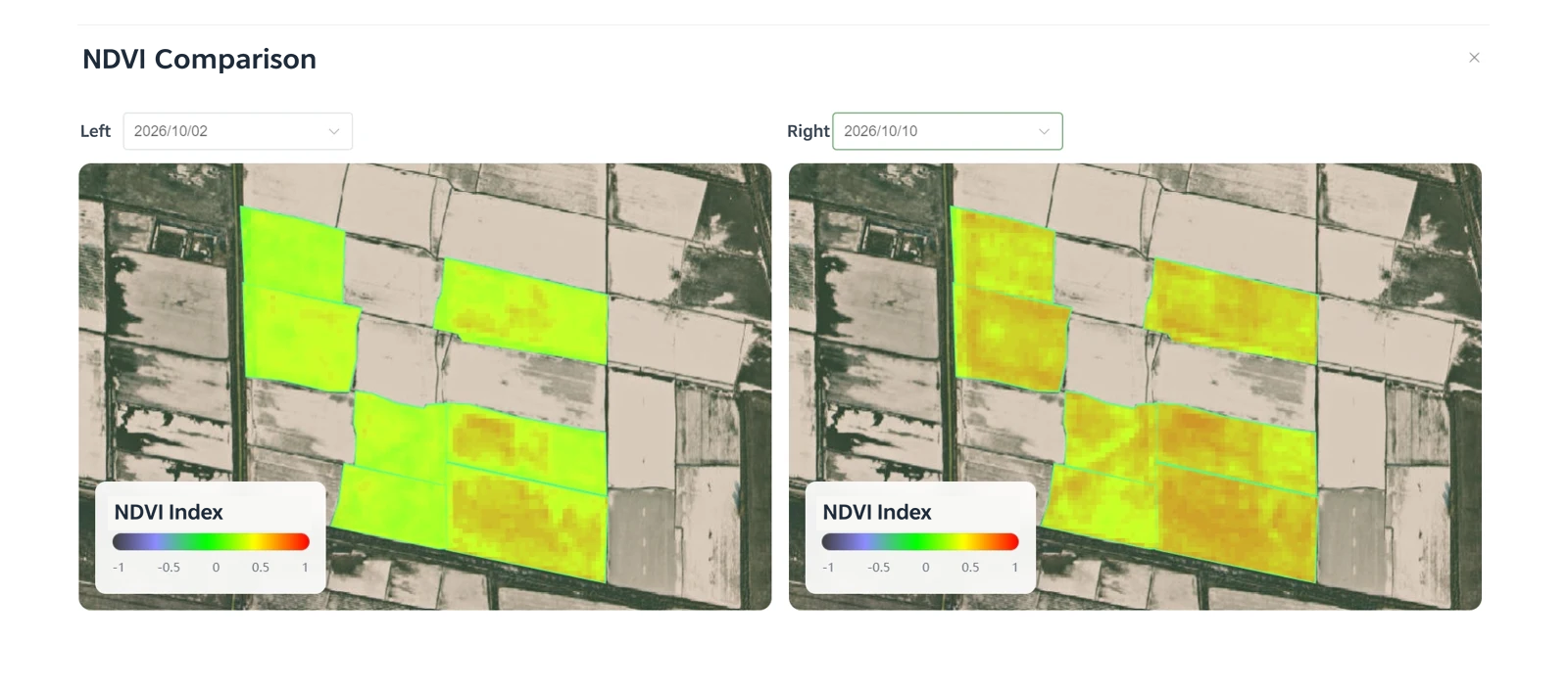 Cotton NDVI comparison on October 2 and October 10, 2026