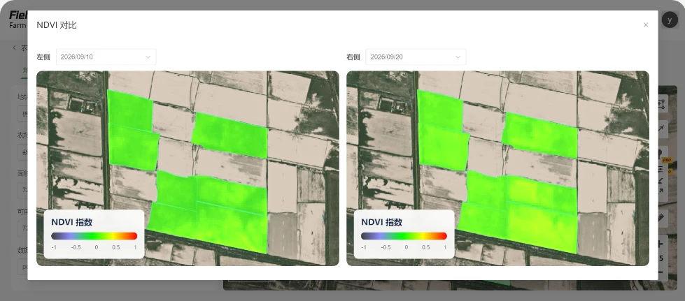 棉花铃期长势的 NDVI 对比图