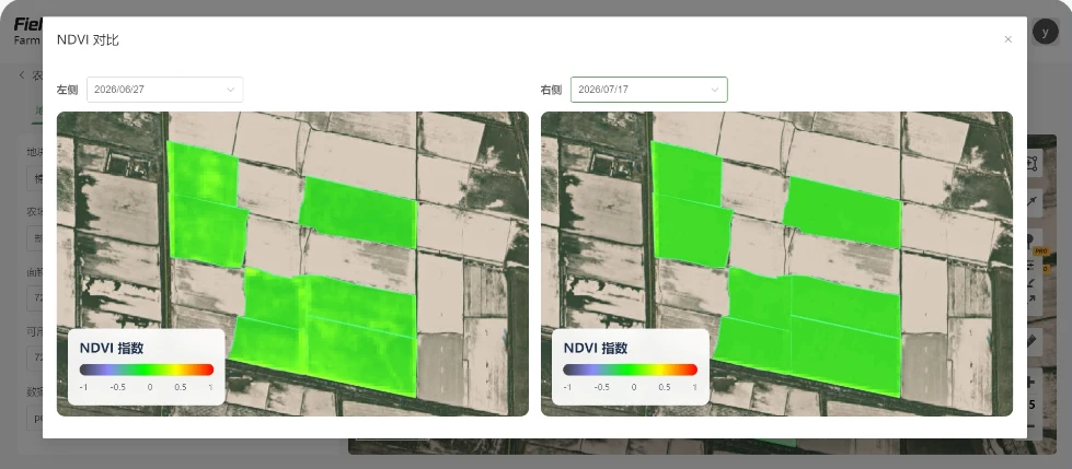 棉花花铃期冠层发育的双日期 NDVI 对比