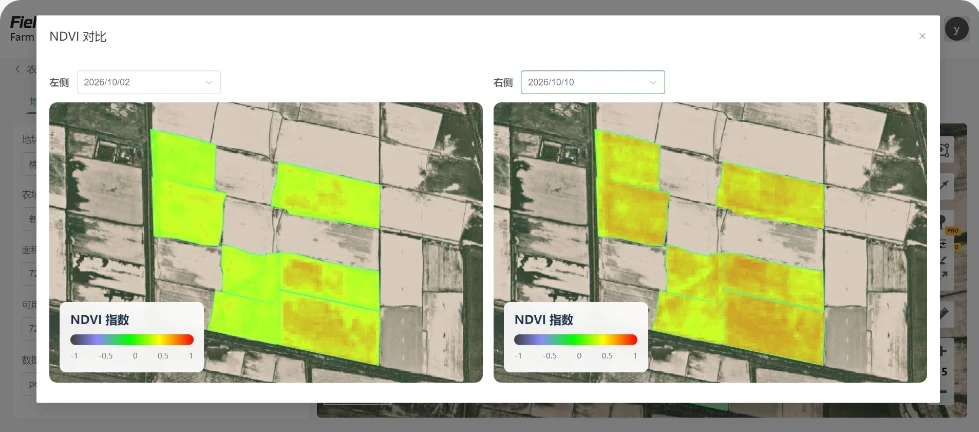2026年10月2日至10月10日棉田 NDVI 对比