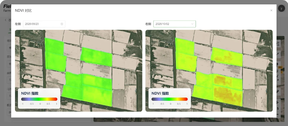 9月至10月棉田后期 NDVI 变化对比