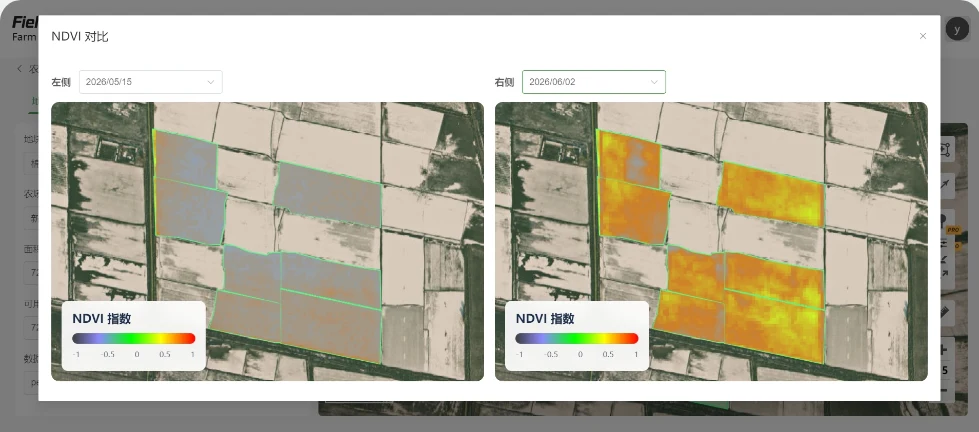 棉花冠层扩展阶段的 NDVI 对比图